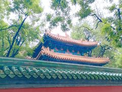 -北京国子监胡同