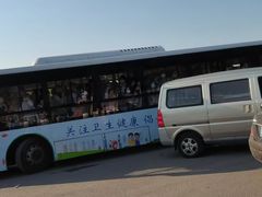 -石家庄市植物园