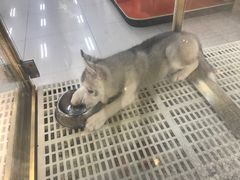 -乐宠宠物店(世纪金源店)