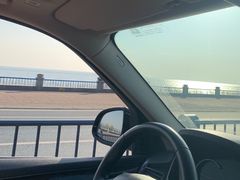 -合肥滨湖国家森林公园