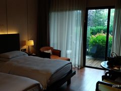 -上海崇明金茂凯悦酒店