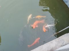 -芜湖方特东方神画