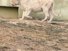 -鄂尔多斯野生动物园