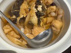 -谭厨中山传家菜.乳鸽.脆鲩鱼(华强北中航城店)