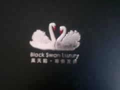 蛋糕的包装盒-BLACKSWAN黑天鹅(环球店)