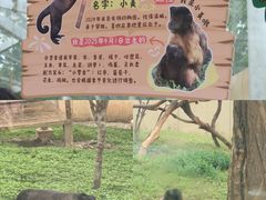 -合肥野生动物园
