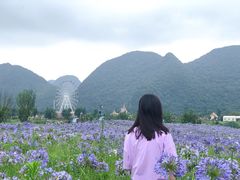 -云漫湖生态度假公园