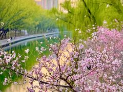 -南长河公园