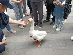 -大悦城(沈阳中街店)