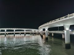 -演武大桥观景平台