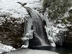 -龙苍沟森林公园