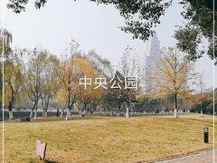-中央公园(苏州工业园区)