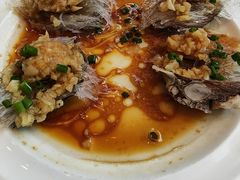 -饭怕鱼(阳光100店)