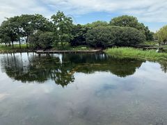 -蠡湖大桥公园