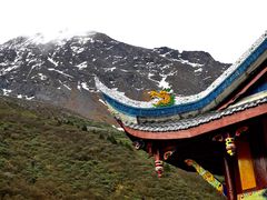 -黄龙山原始森林景区
