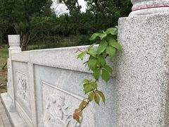 -昆山城市生态森林公园