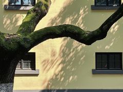 -颐和路民国时期公馆风貌区