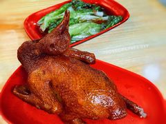 红烧乳鸽-光明刘冰乳鸽店(光明法政北路店)
