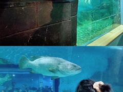 -苏州海洋馆