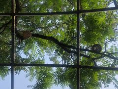 -zarah(鼓楼店)
