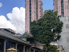 -华林禅寺