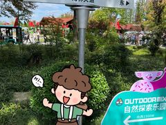 -黄海国家森林公园