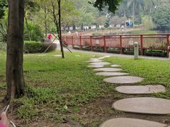 -荔湾湖公园