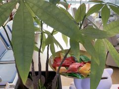 -万达广场(松江店)