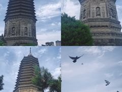 -古塔公园