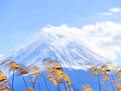 -富士山吉田線五合目