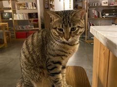 -栖咖啡(泉舜店)