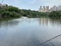 -重庆彩云湖湿地公园