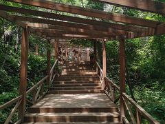 -大岭沟猕猴桃谷风景区