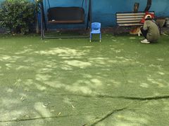 -宠物寄养训练学校