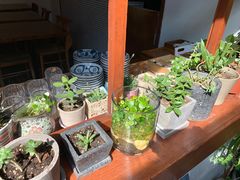 -铃木食堂(帽儿胡同店)