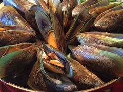 -Pedro's House of Lamb(基督城)