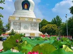 -护国法轮寺
