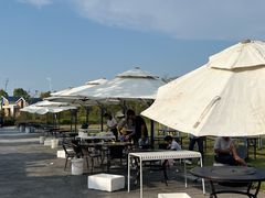 -春花秋色城市公园