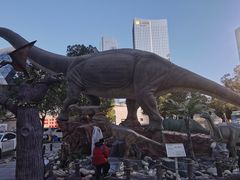 -陕西自然博物馆