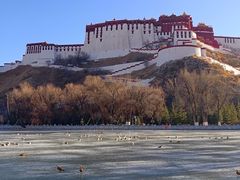-宗角禄康公园