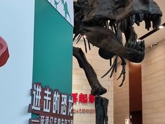 -珠海市博物馆