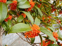 -江南大学(蠡湖校区)