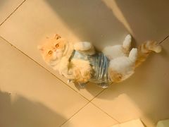 -达爱动物医院·犬猫分区·CT·复杂眼科(远洋山水分院)