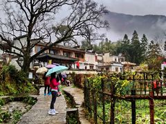 -塔川景区