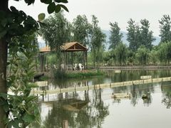 -同銮特种养殖场·龙虾垂钓