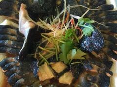 -京北渔家傲