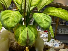 -100家灵感仓库·DIY团建(什刹海店)