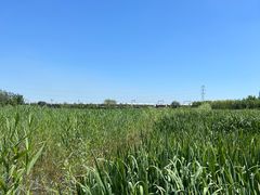 -永定河休闲森林公园