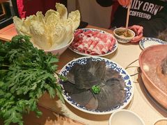 -东镇老火锅(长春路首店)