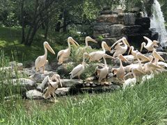-北京野生动物园